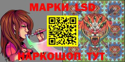 гашик Кулебаки